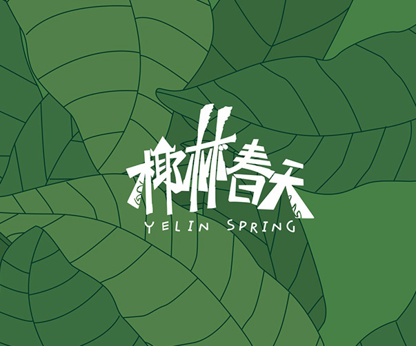 智能門禁系統(tǒng)產(chǎn)品畫冊(cè)設(shè)計(jì)的創(chuàng)新與實(shí)踐